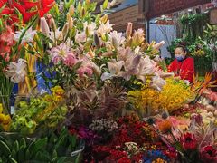 -朝来春花卉市场
