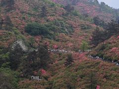 -木兰云雾山