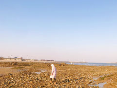 -刘家湾赶海园