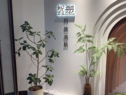 -皙塑美肤·spa