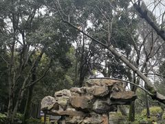 -秋霞圃
