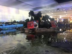 -鸿通城购物中心