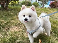 -天虹购物中心(深圳龙华店)