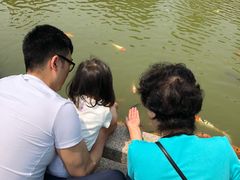 -檀园