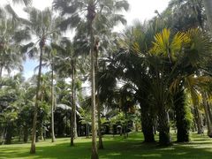 -中国科学院西双版纳热带植物园
