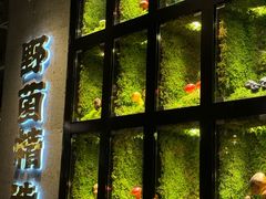 -野·大山里野生菌石锅土鸡(益田假日店)