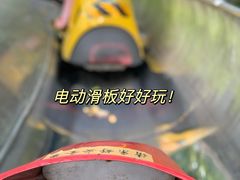 -上海共青森林公园