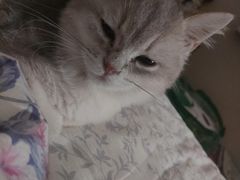 -1013 PET SHOP 宠物商店(近铁城市广场店)