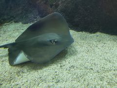 -鸿通城购物中心