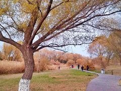 -潇河湿地公园