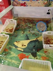 -嘻哈乐·儿童主题乐园(北京路天河城店)