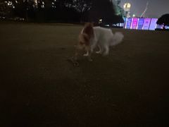 -台州博物馆