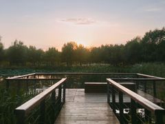 -东郊湿地公园