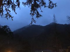 -宁海森林温泉