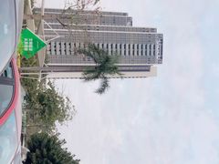 -深圳野生动物园