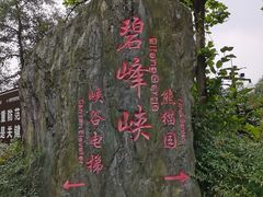 -碧峰峡风景区