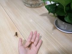 -重庆彩云湖湿地公园