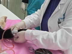 -北京观赏动物医院·24小时大型综合·猫专科·异宠专科