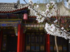 -渭南桃花源民俗文化园