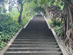 -海口火山口国家地质公园