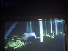 -立里春天印象·影院足疗轻养SPA(二十四城店)