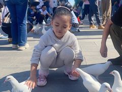 -天津妈祖文化园