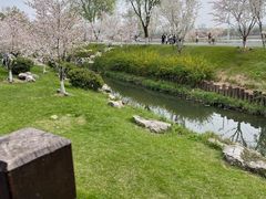 -羊山湖公园