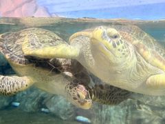 -福州罗源湾海洋世界旅游区