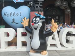 -布拉格餐厅· 中欧捷克菜(全国首店)