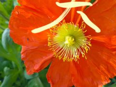 -沈阳铁西万象汇