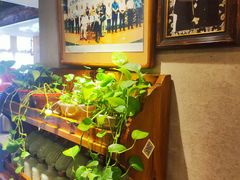 -七菜馆·东北菜·蒸饺(文体路店)