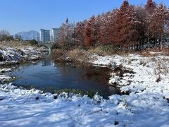 -三垟湿地