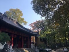-灵谷景区