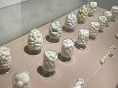 -苏州丝绸博物馆