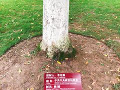 -邓小平故里