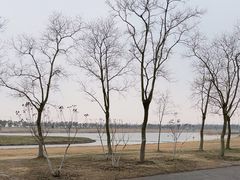 -春花秋色城市公园