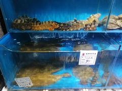 水产区-牟传仁饭庄(星海店)