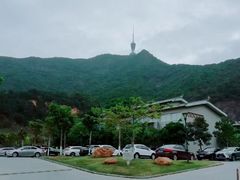 -梧桐山风景名胜区