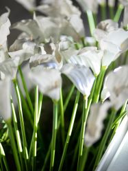 -御宴宫·宴会厅