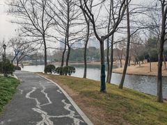-贡湖湾湿地公园