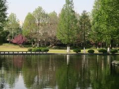 -环城公园-琥珀潭