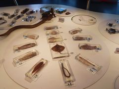 -漩门湾国家湿地公园