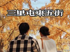-三里屯东五街银杏大道
