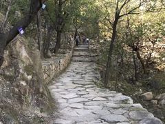 -北京鹫峰国家森林公园