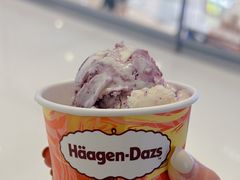 -哈根达斯(济南万象城店)