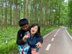 -黄海国家森林公园