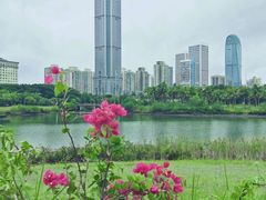 -万绿园