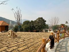 -无锡动物园·太湖欢乐园