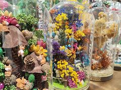 -万达坊(花园路店)