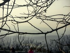 -沈阳辉山风景区